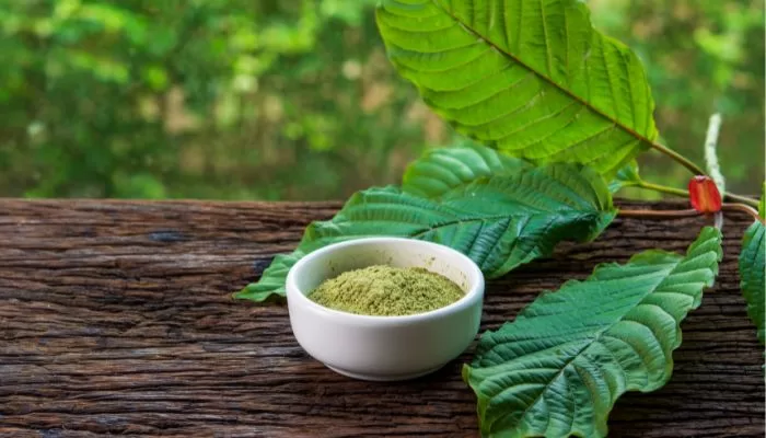 Are there specific dosage recommendations or guidelines for using kratom to manage ADHD, and how should individuals determine the appropriate dosage?