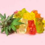 Exploring HHC Gummies: Understanding the Basics