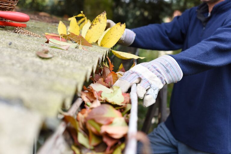 Regular Gutter Maintenance