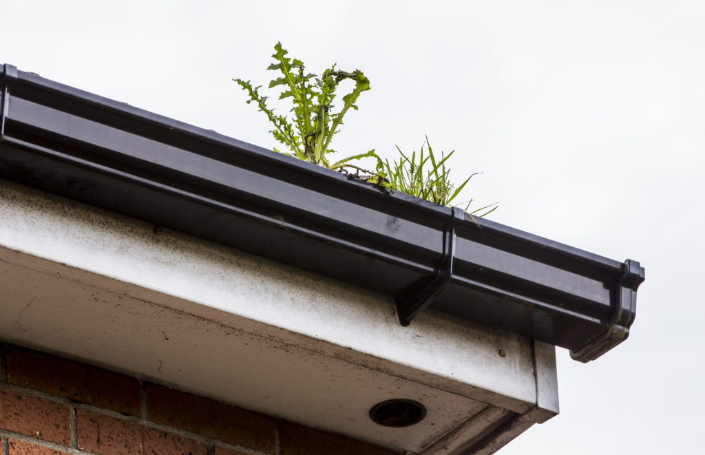 Gutter cleaning nassau county